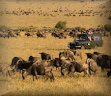 prive safari Kenia