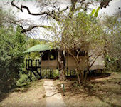 Sekenani Camp is gelegen buiten het Masai Mara Nationaal Reservaat 