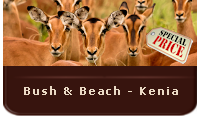 Aanbieding safari en strand Kenia
