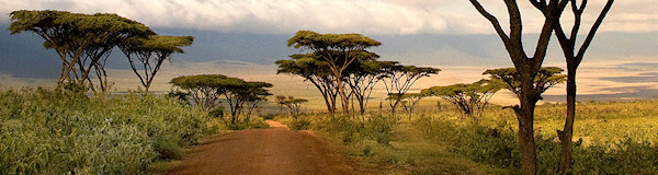 Ngorongoro Nationaal Park Tanzania