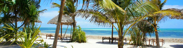 Aanbiedingen strandvakantie Zanzibar - Aanbieding strandvakantie Zanzibar eiland Uroa Bay Beach Resort Tanzania